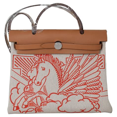 hermes pegasus|hermes pegasus for sale.